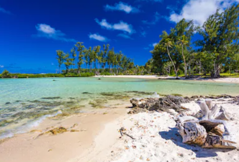 1608709764243258.png 圖片1.png