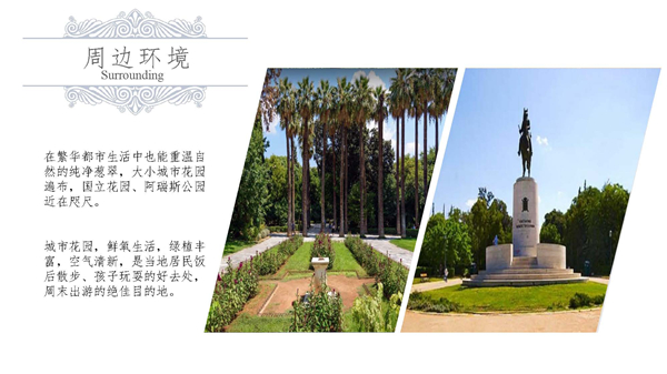 1609396259452168.jpg 中雅典-21.2萬歐-P09.jpg