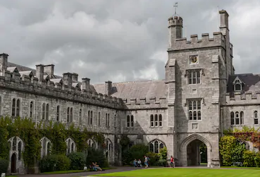 1609735857116871.jpg 1609735782(1).jpg