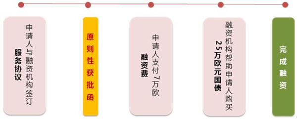 1612402672547229.jpg 2.jpg