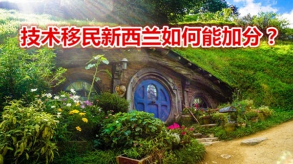 1616464273554051.jpg 1.jpg