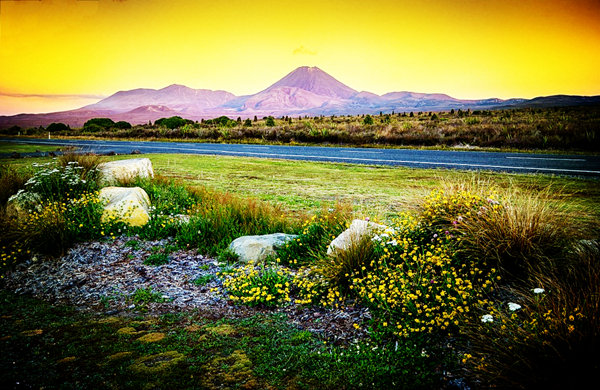 1616464481520899.jpg 2.jpg