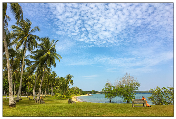 1617075319754858.png 3.png