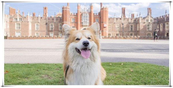 1621216472551685.jpg 3.jpg