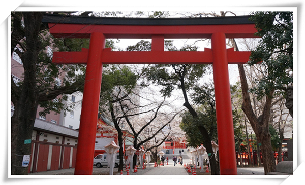 1621817409352271.jpg 4.jpg