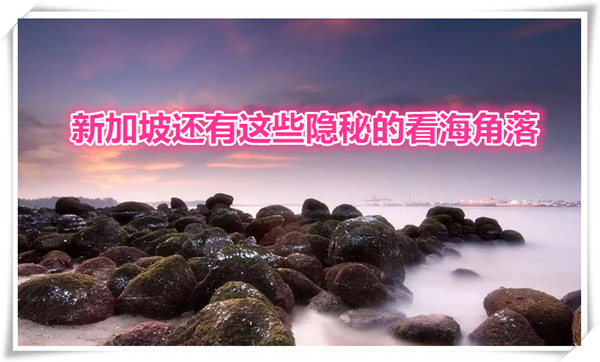 1623805963169130.jpg 1.jpg