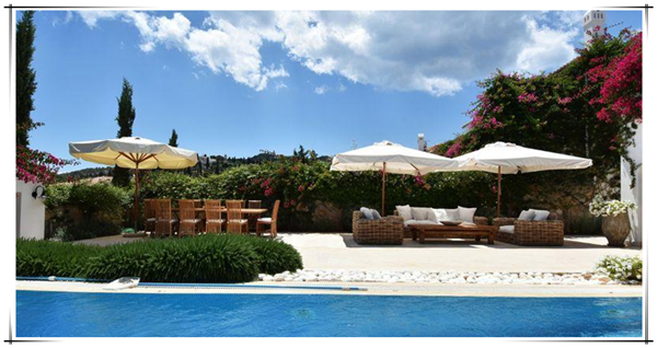 1624846156845009.jpg 3.jpg