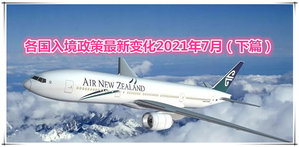 1625455099961751.jpg 1.jpg