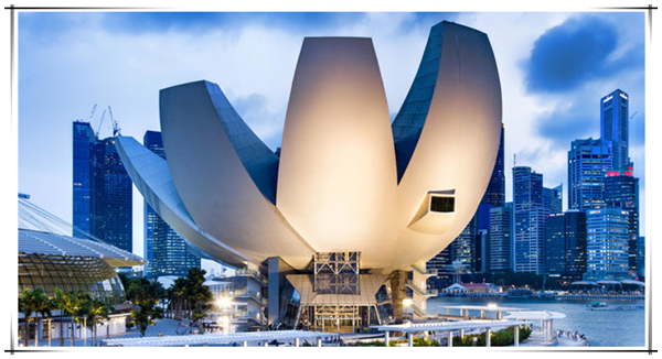 1625455108977257.jpg 2.jpg