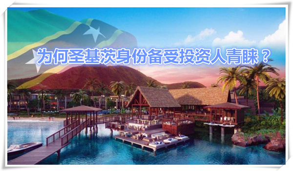 1627267341873664.jpg 1.jpg