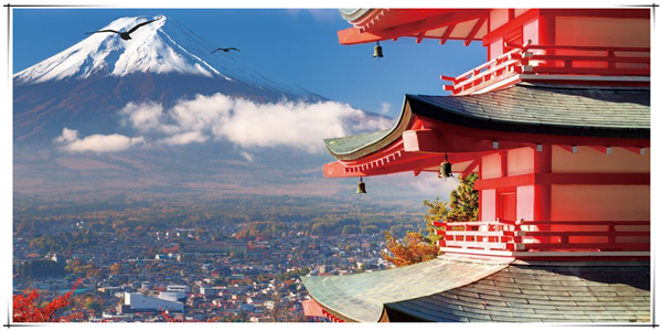 1627522846599708.jpg 2.jpg