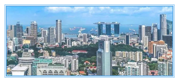 1634101186524456.jpg 4.jpg